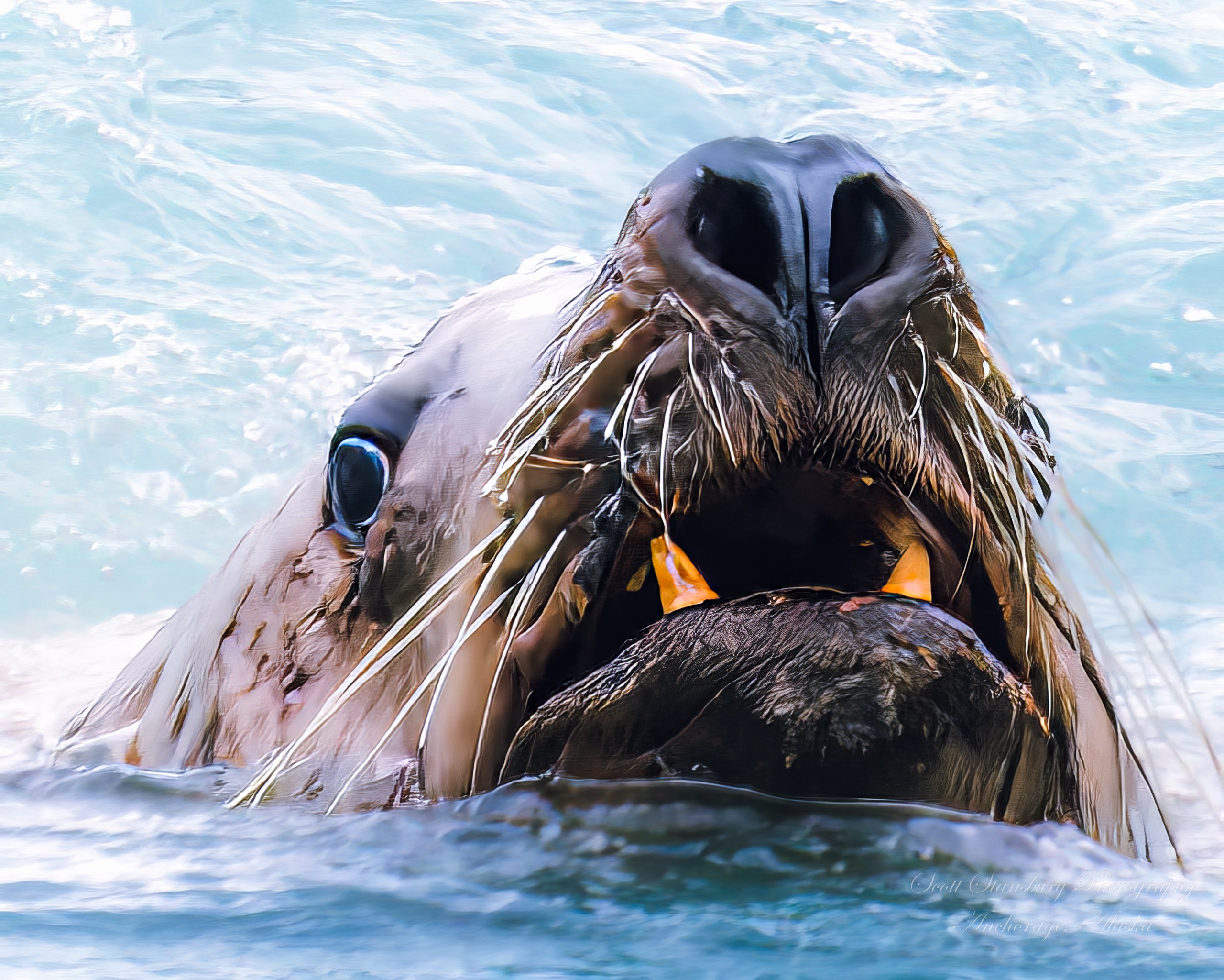 The Breathtaking Beauty of Wildlife Photography